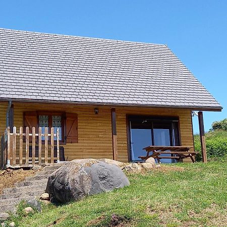 Chalet Sancy Saint-Genès-Champespe Eksteriør billede
