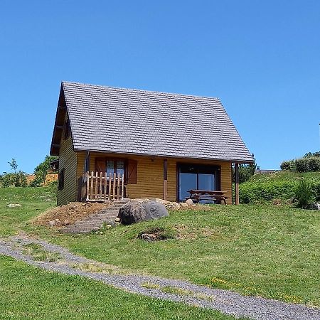 Chalet Sancy Saint-Genès-Champespe Eksteriør billede