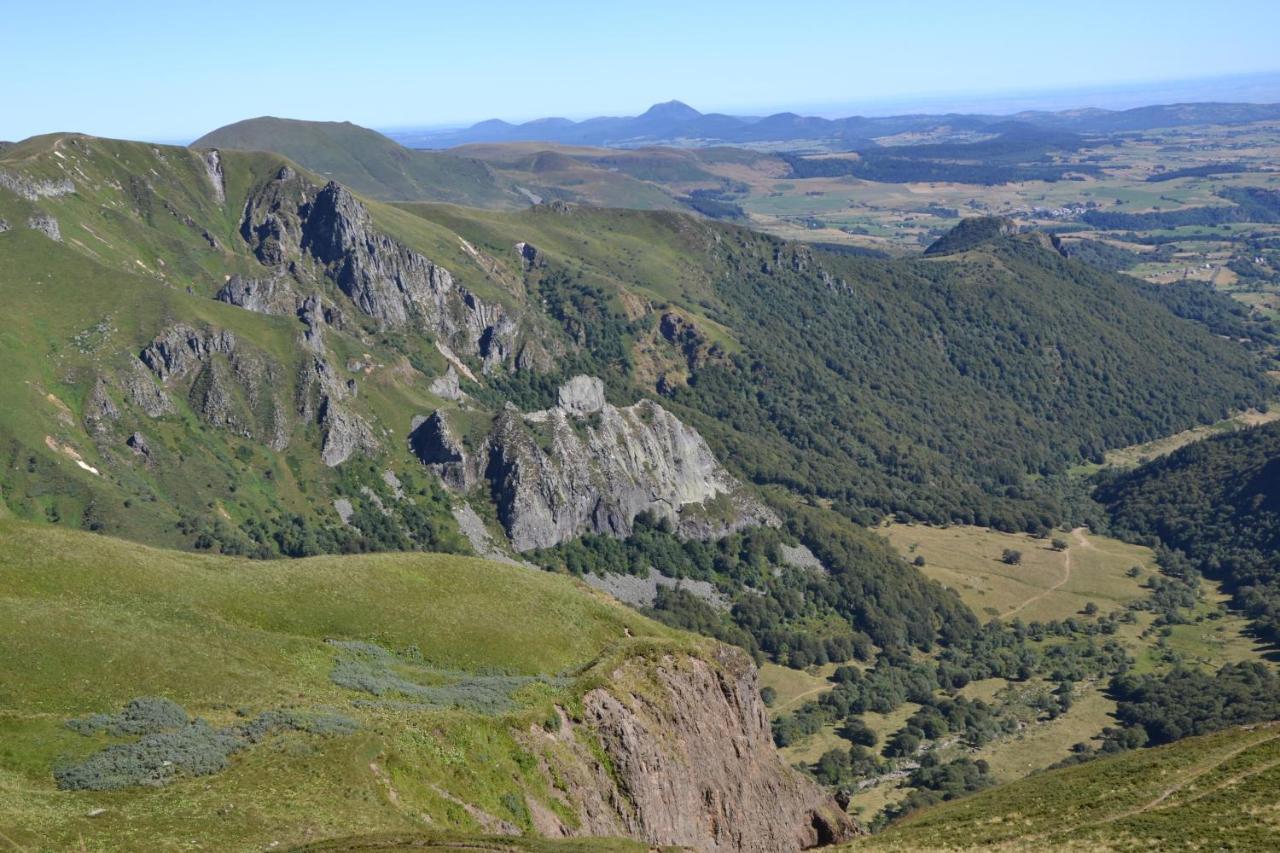 Chalet Sancy Saint-Genès-Champespe Eksteriør billede