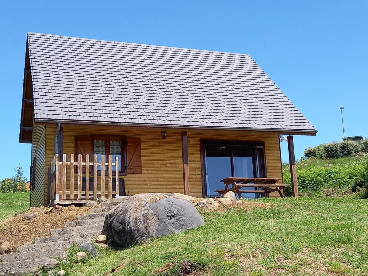 Chalet Sancy Saint-Genès-Champespe Eksteriør billede